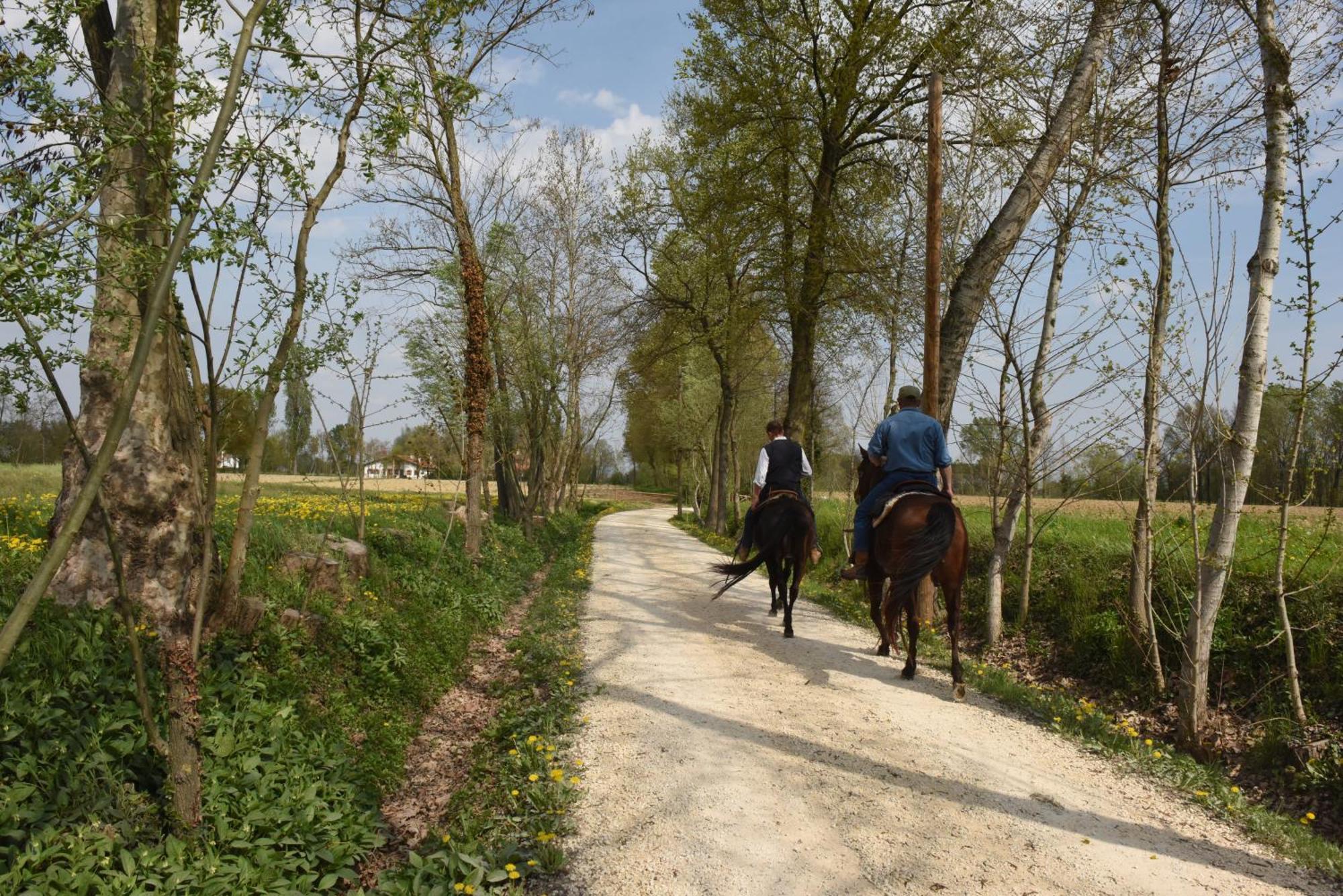 B&B Il Sentiero Noale Exteriér fotografie